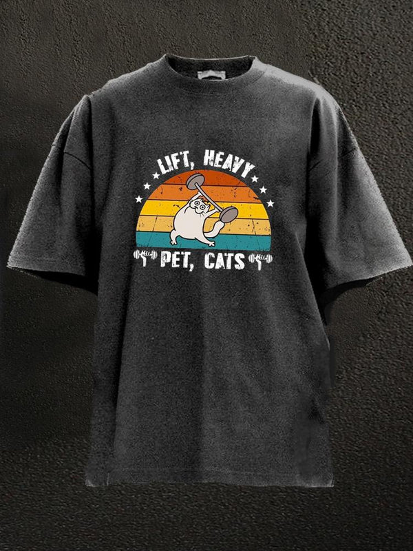 Lift Heavy Pet Cats Washed Gym Shirt