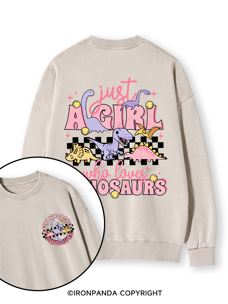 Just A Girl Who Loves Dinosaurs Double-Sided Printed Washed Sweatshirt