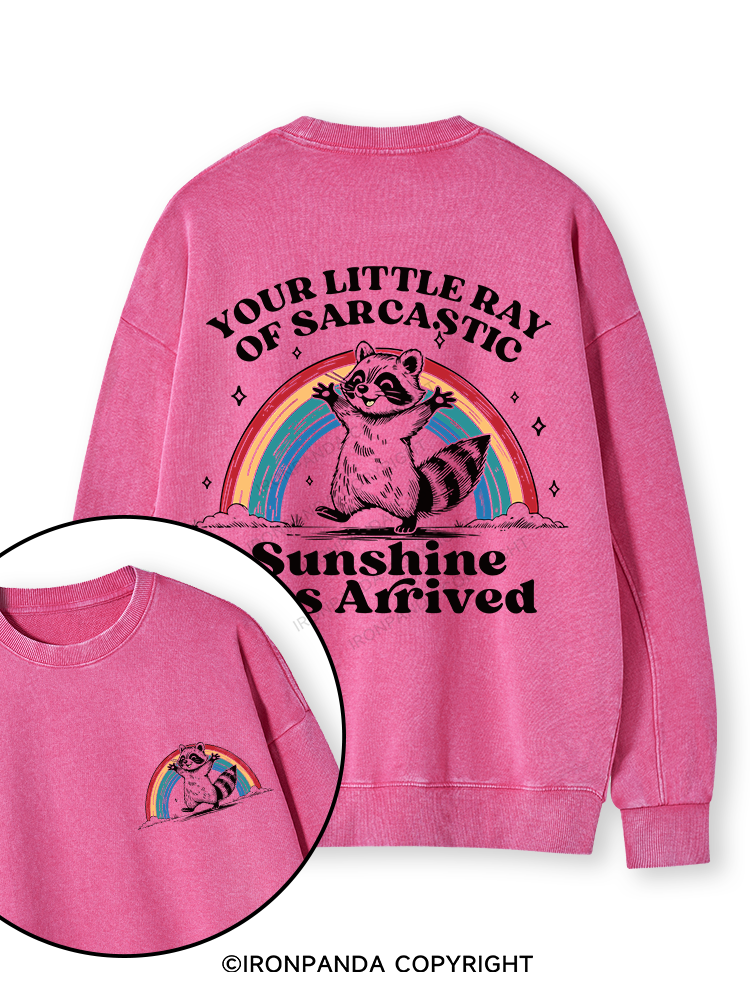 YOUR LITTLE RAY OF SARCASTIC SUNSHINE HAS ARRIVED Double-Sided Printed Washed Sweatshirt