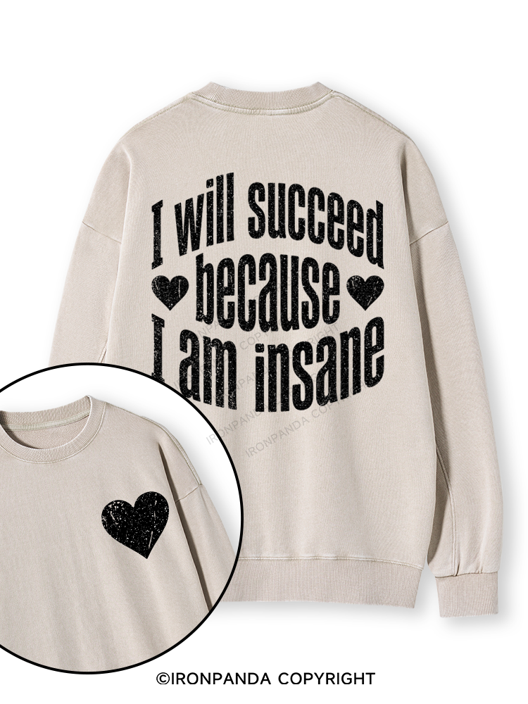 I WILL SUCCEED BECAUSE I AM INSANE Double-Sided Printed Washed Sweatshirt