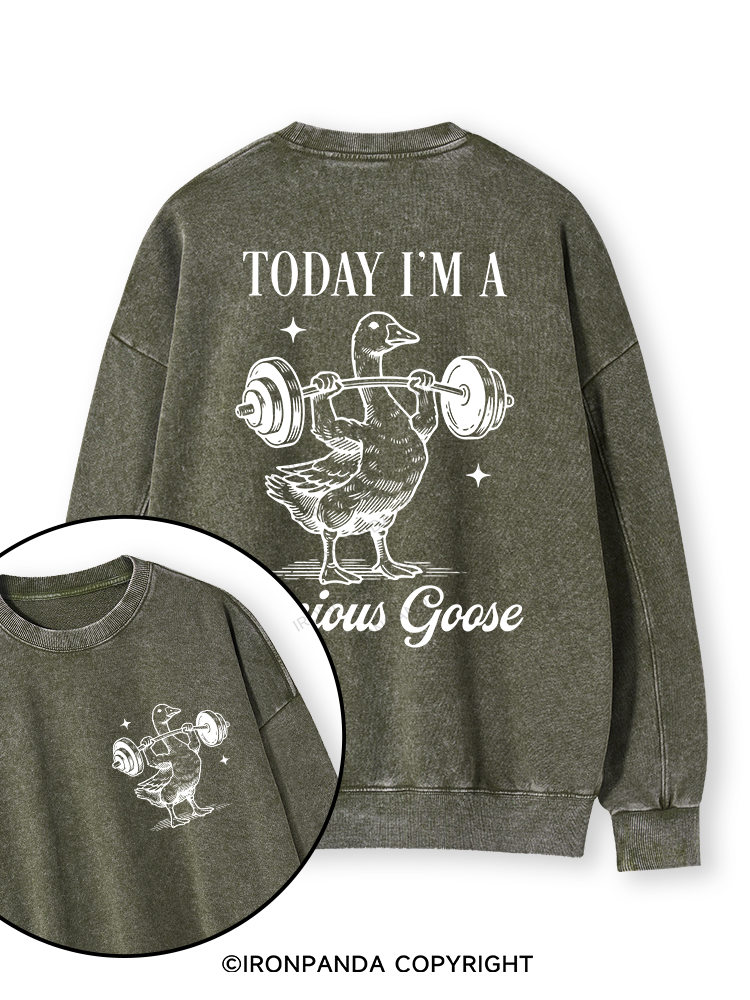TODAY I'M A Serious Goose Double-Sided Printed Washed Sweatshirt