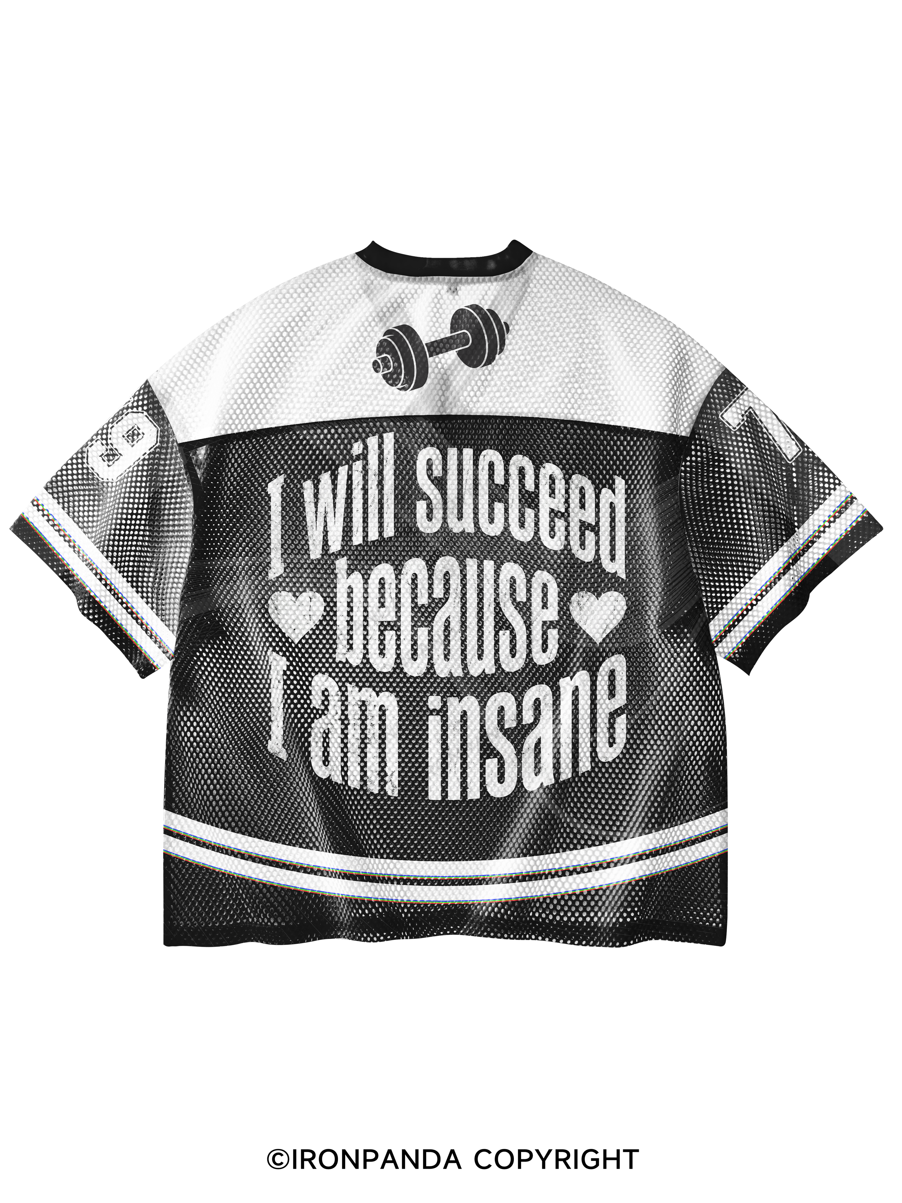 I WILL SUCCEED BECAUSE I AM INSANE V-Neck Open Hole Mesh Top