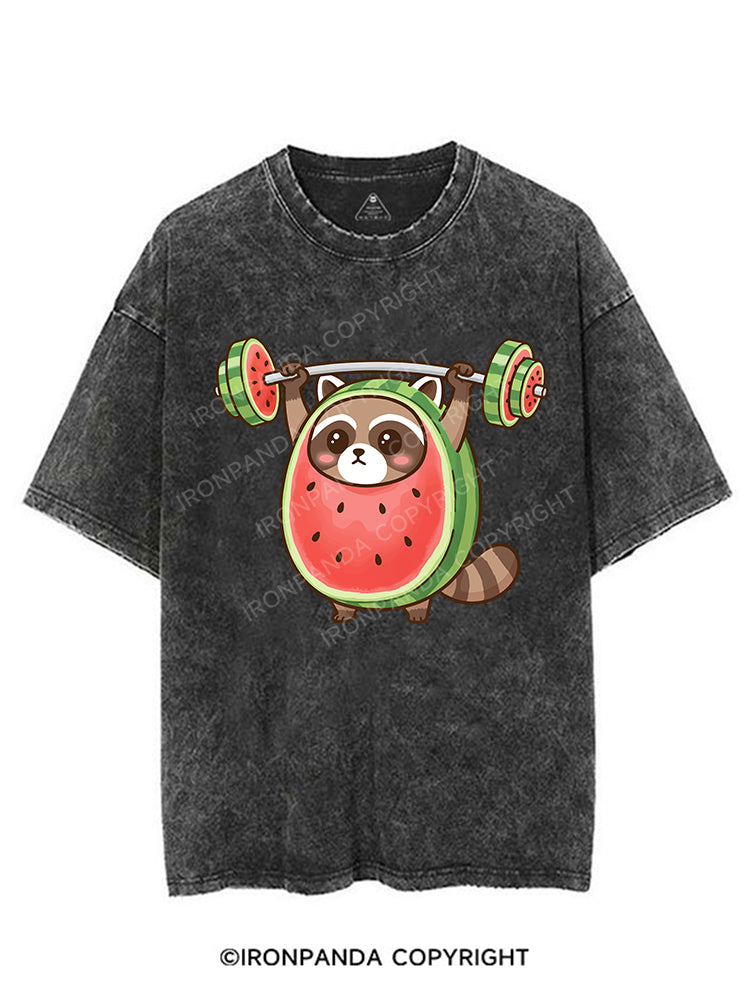 MelonLifter Raccoon VINTAGE GYM SHIRT