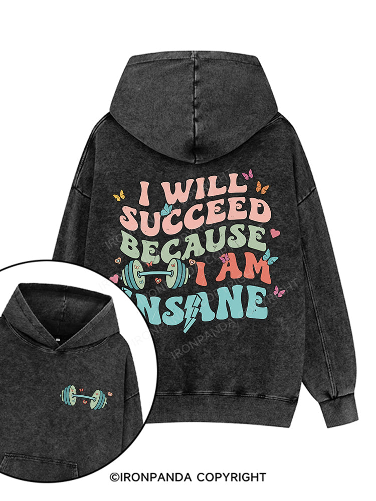 I WILL SUCCEED BECAUSE I AM INSANE Printed Washed Gym Hoodie