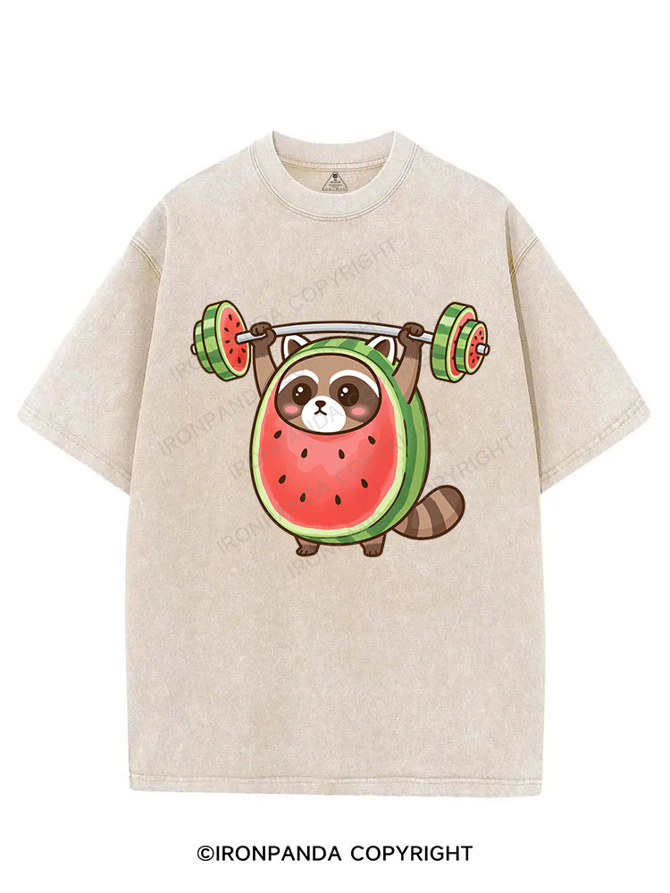 MelonLifter Raccoon VINTAGE GYM SHIRT