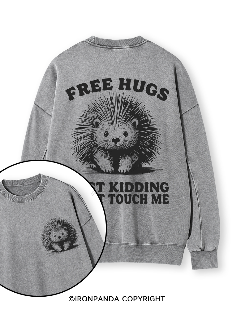 Free Hugs Just Kidding Don't Touch Me Lion Double-Sided Printed Washed Sweatshirt