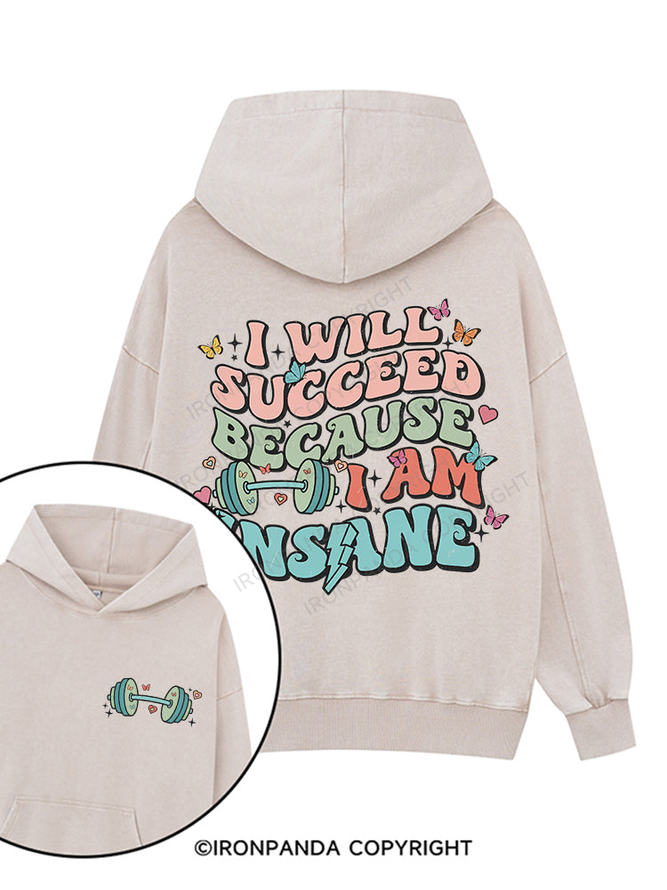 I WILL SUCCEED BECAUSE I AM INSANE Printed Washed Gym Hoodie
