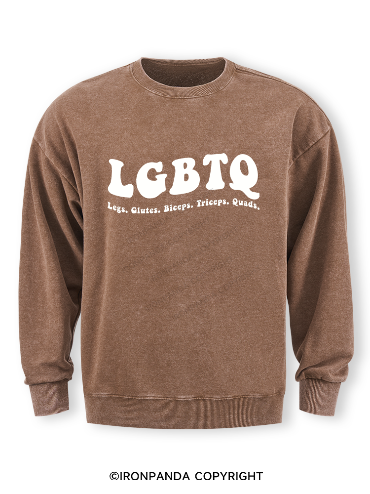 LGBTQ: Legs, Glutes, Biceps, Triceps, Quads Washed Sweatshirt