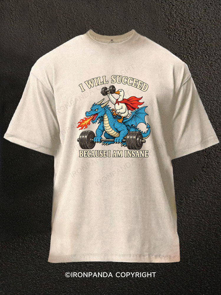 I WILL SUCCEED BECAUSE I AM INSANE FUNNY GOOSE DRAGON Washed Gym Shirt