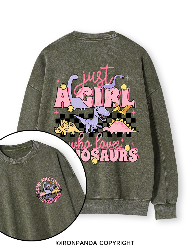 Just A Girl Who Loves Dinosaurs Double-Sided Printed Washed Sweatshirt