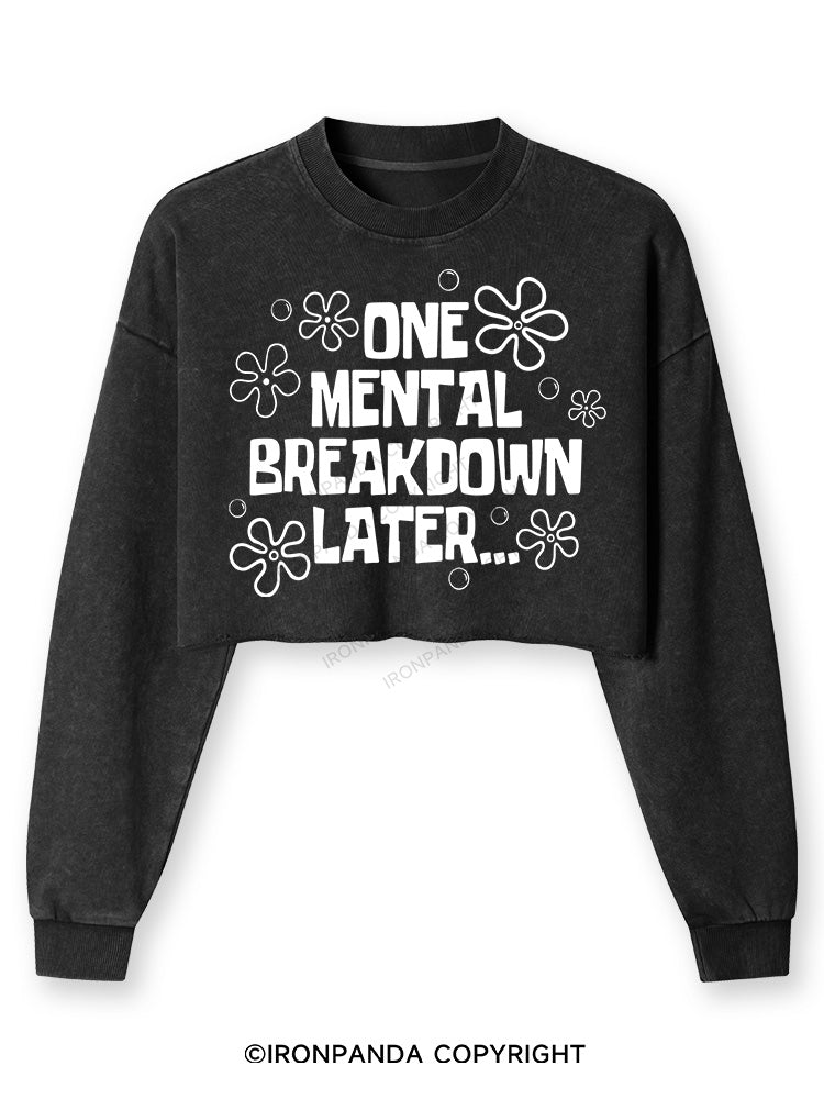 ONE MENTAL BREAKDOWN LATER Washed Long-Sleeve Crop Top