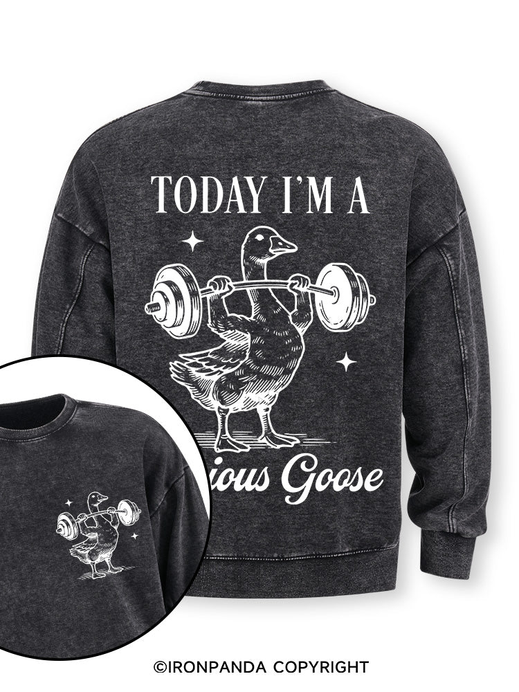 TODAY I'M A Serious Goose Double-Sided Printed Washed Sweatshirt