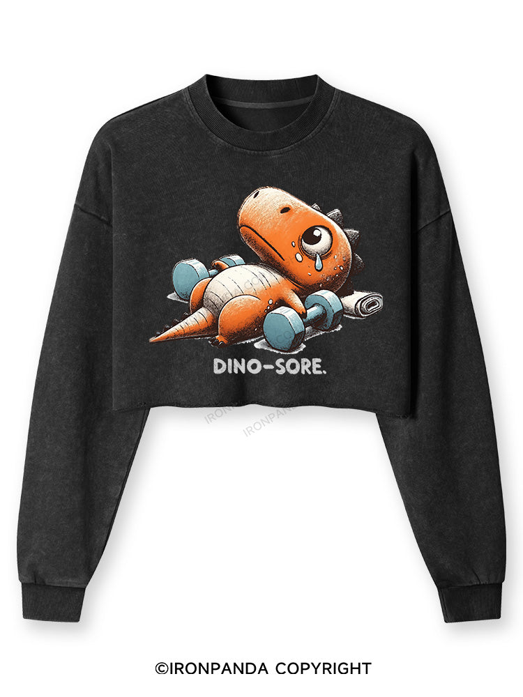 Dino-Sore After Workout Washed Long-Sleeve Crop Top