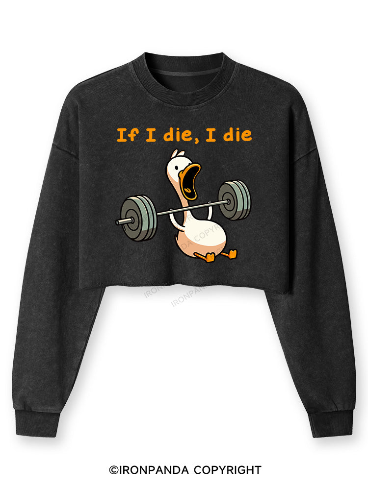 IF I DIE I DIE Washed Long-Sleeve Crop Top