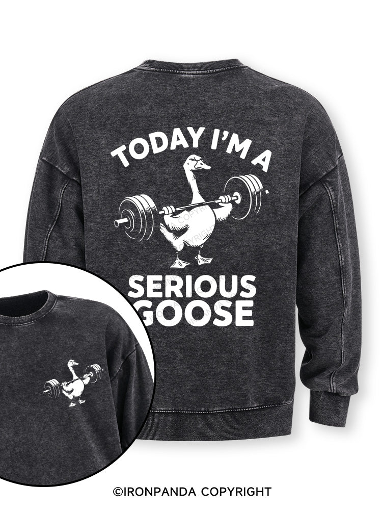 Today i'm a serious goose new Double-Sided Printed Washed Sweatshirt