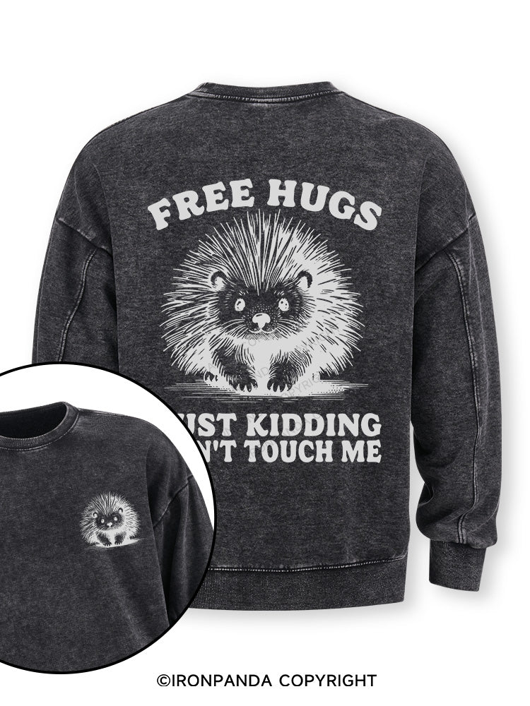 Free Hugs Just Kidding Don't Touch Me Lion Double-Sided Printed Washed Sweatshirt