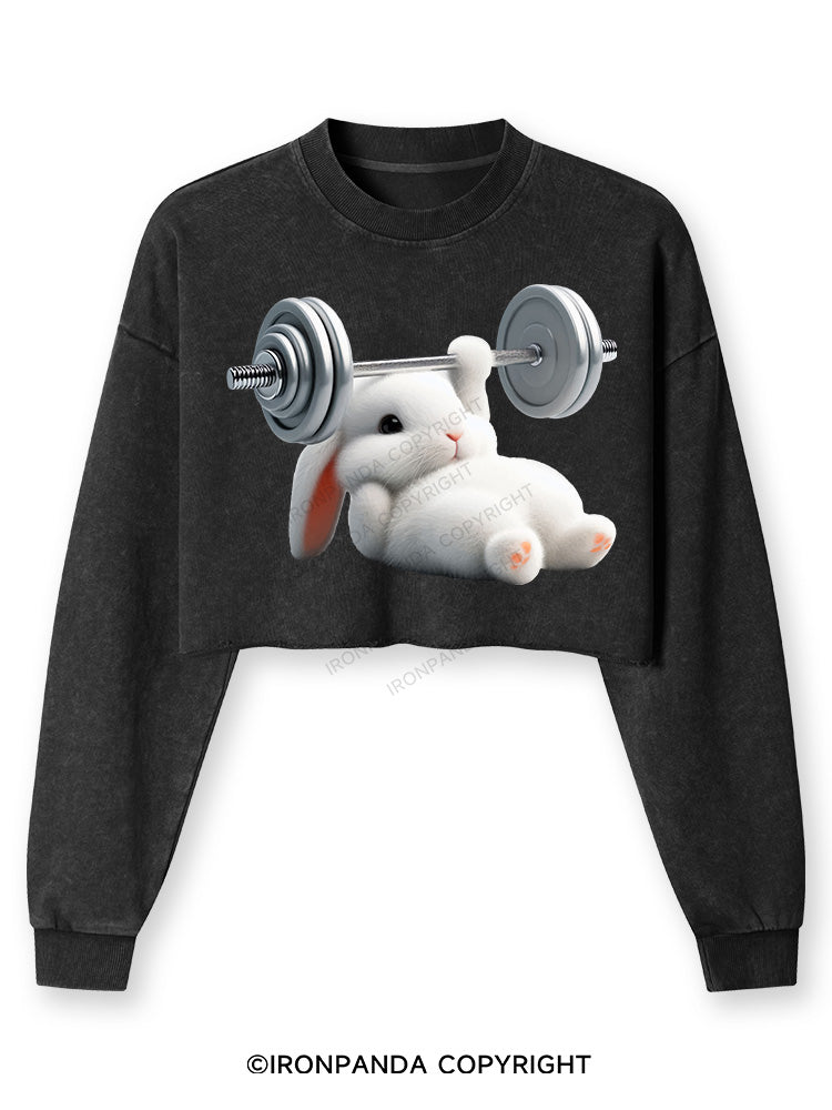 RABBIT ONE-ARM BENCH PRESS Washed Long-Sleeve Crop Top