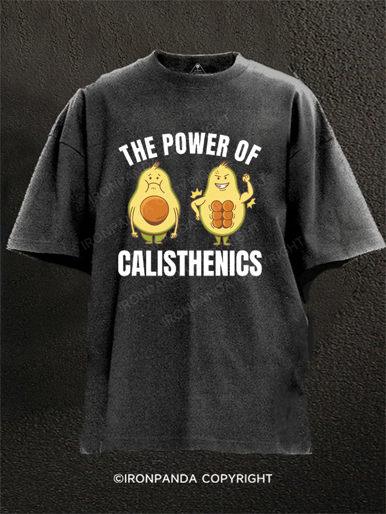 THE POWER OF CALISTHENICS Washed Gym Shirt