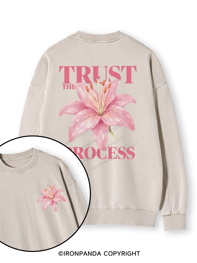 TRUST THE PROCESS Double-Sided Printed Washed Sweatshirt