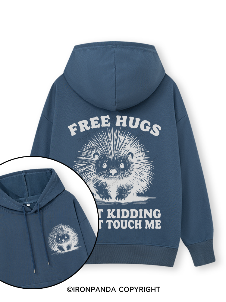 Free Hugs Just Kidding Don't Touch Me Lion Double-Sided Printed Classic Gym Hoodie