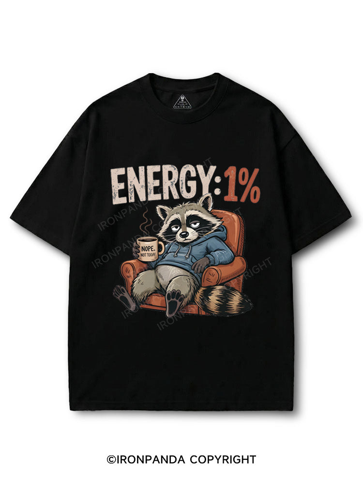 Low Energy Raccoon “Nope Not Today” COTTON PUMP COVER