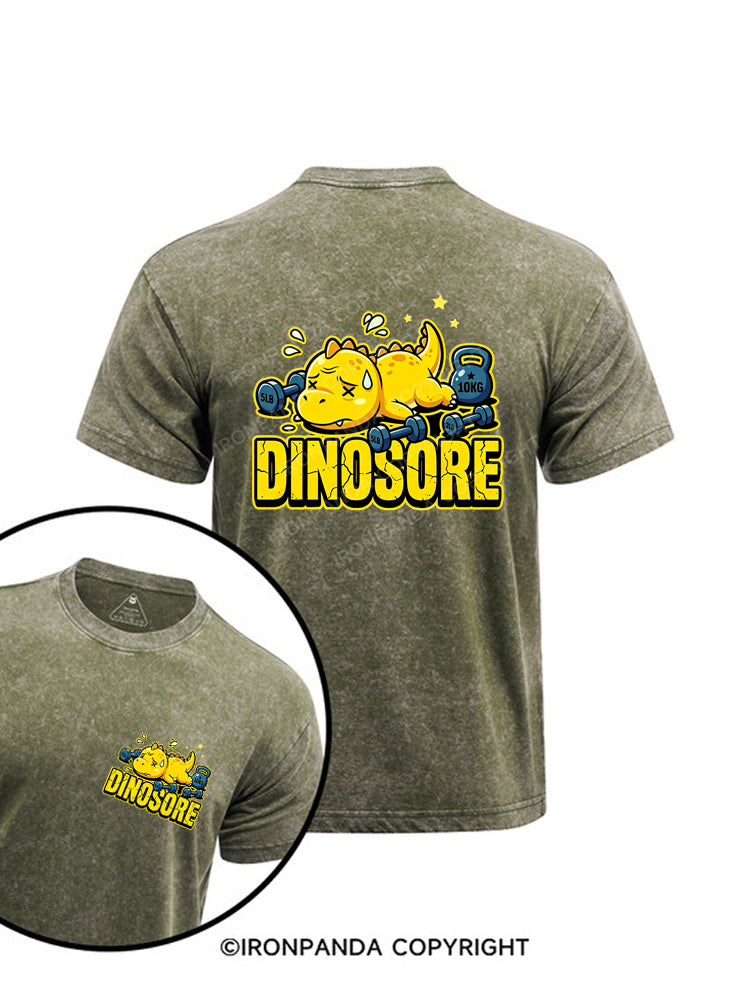 Funny Dinosaur Gym Workout Printed Washed Gym Shirt