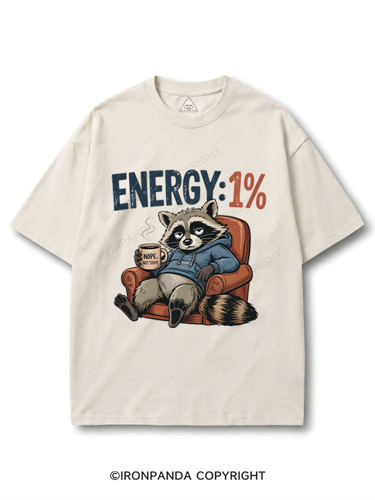 Low Energy Raccoon “Nope Not Today” COTTON PUMP COVER