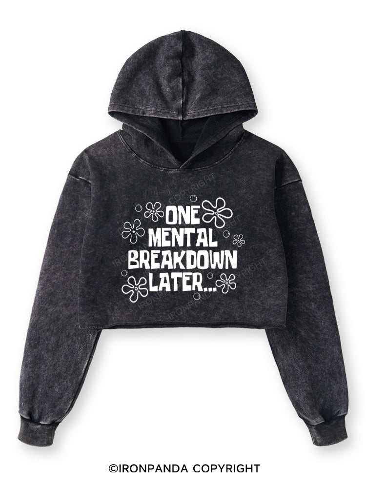 ONE MENTAL BREAKDOWN LATER Washed Crop Hoodie