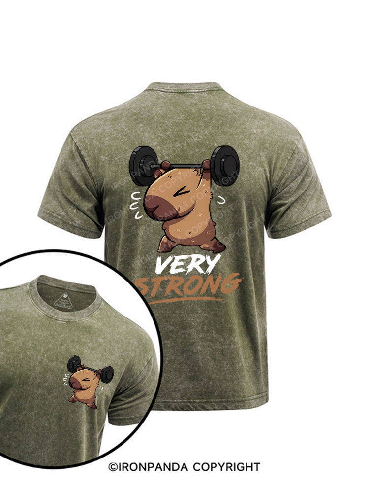 Very Strong Capybara Heavy Printed Washed Gym Shirt