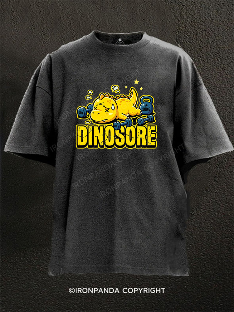 Funny Dinosaur Gym Workout Washed Gym Shirt