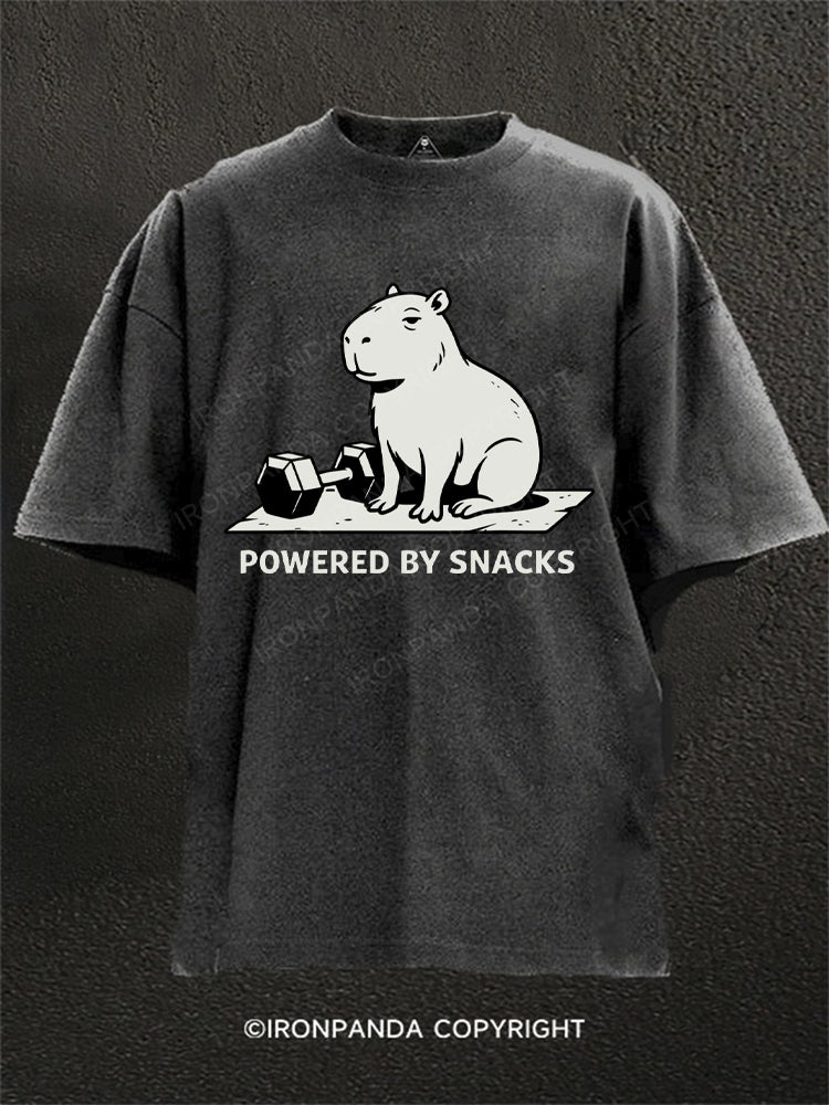 Powered By Snacks Capybara Washed Gym Shirt