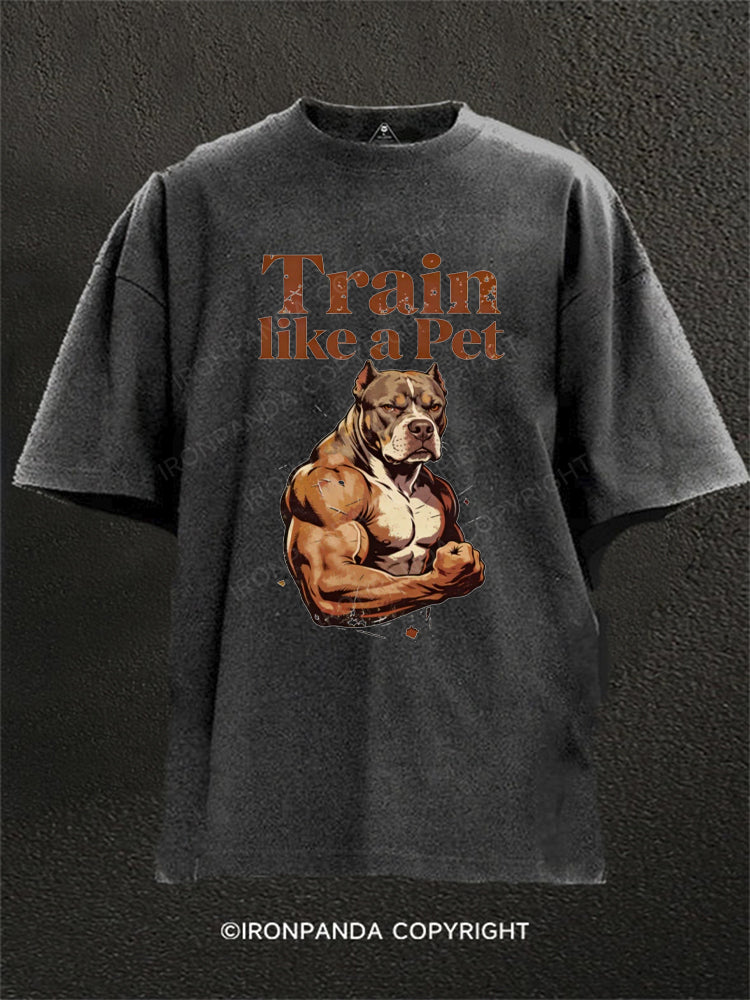 Train Like a Pet Pitbull Washed Gym Shirt