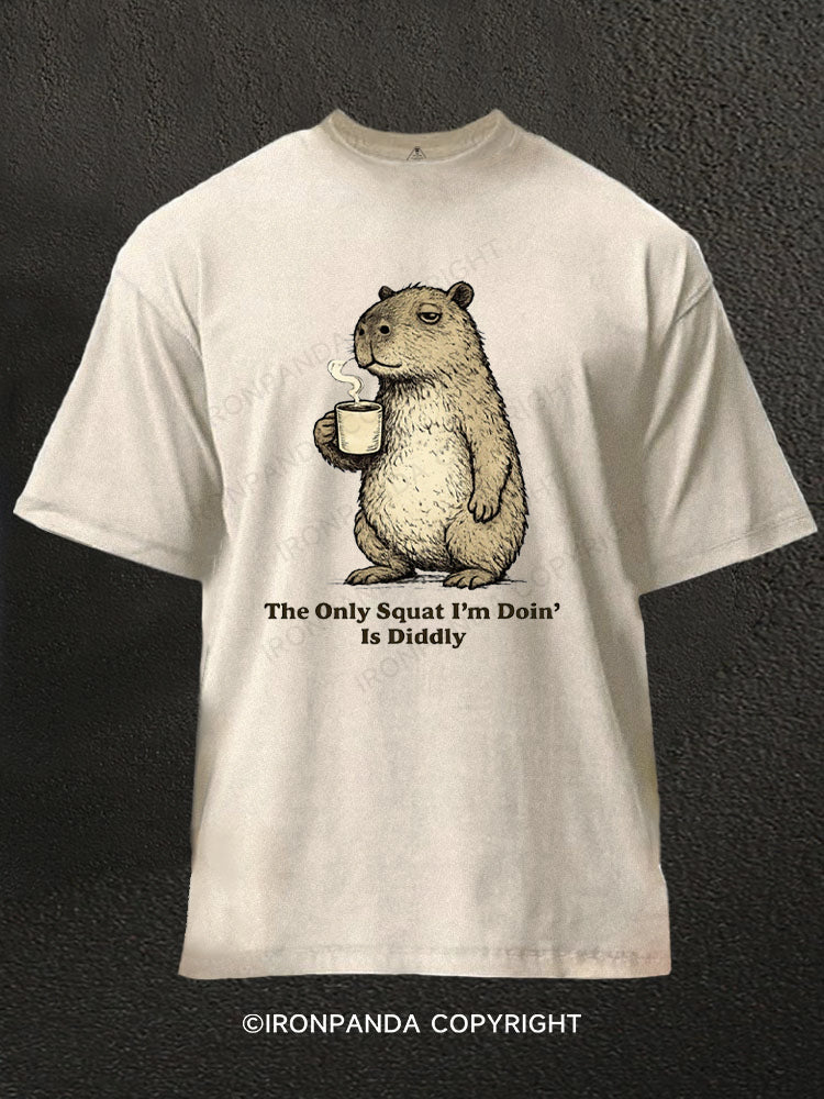 The Only Squat I'm Doin'  Is Diddly Funny Capybara Washed Gym Shirt