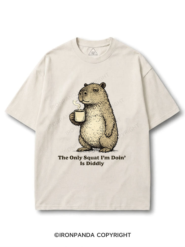 The Only Squat I'm Doin'  Is Diddly Funny Capybara COTTON PUMP COVER