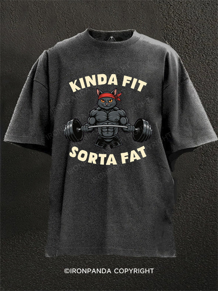 Kinda Fit Sorta Fat Funny Cat Washed Gym Shirt