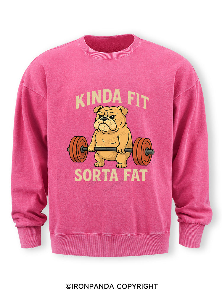 Kinda Fit Sorta Fat Dog New Washed Sweatshirt