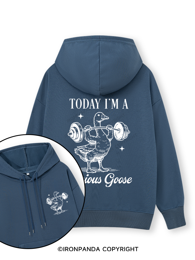 TODAY I'M A Serious Goose Double-Sided Printed Classic Gym Hoodie