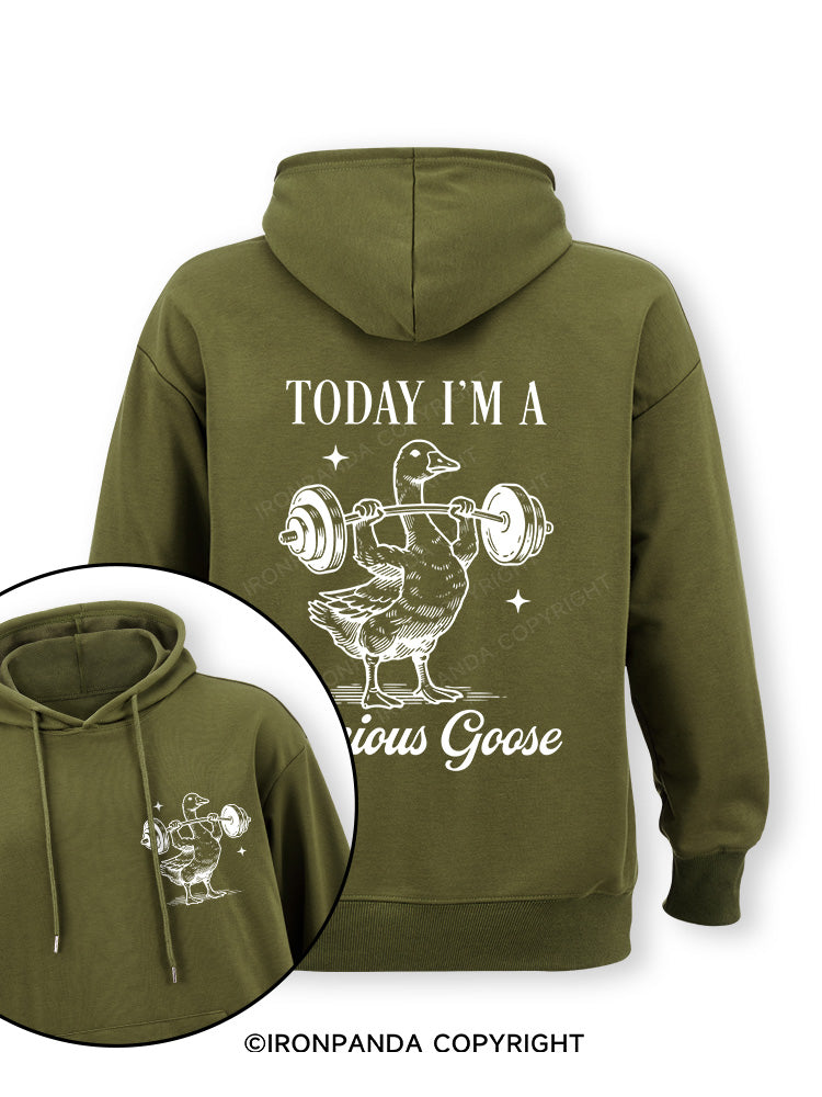 TODAY I'M A Serious Goose Double-Sided Printed Classic Gym Hoodie