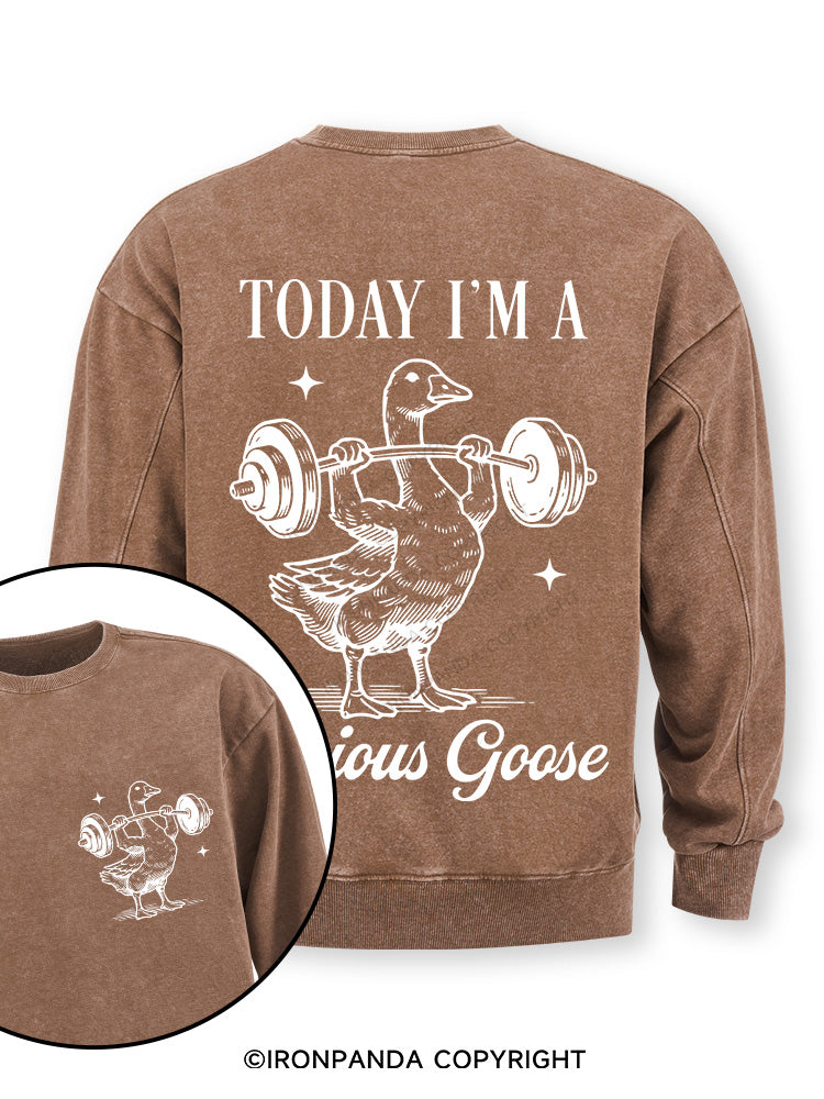 TODAY I'M A Serious Goose Double-Sided Printed Washed Sweatshirt