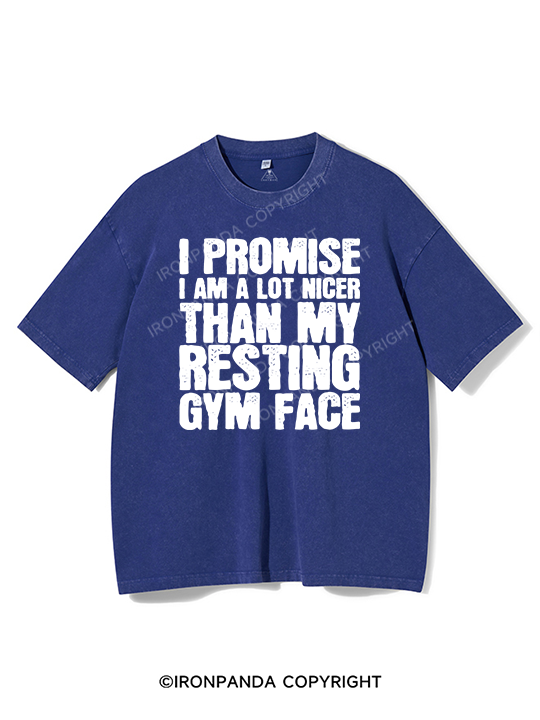 Nicer Than My Resting GYM Face Washed Gym Shirt