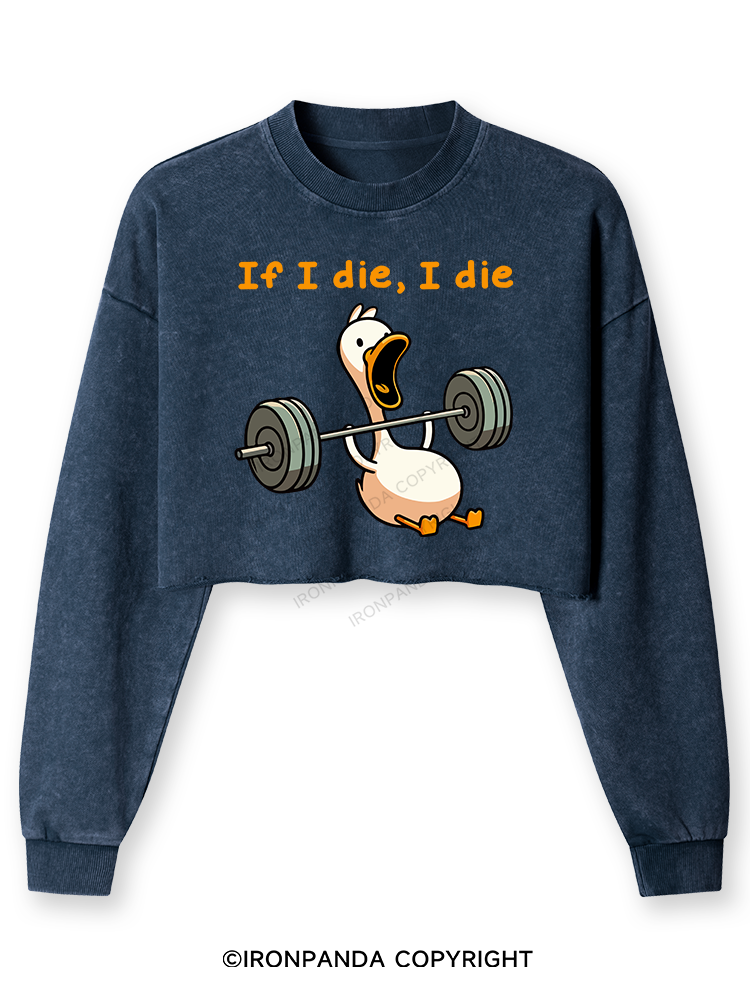 IF I DIE I DIE Washed Long-Sleeve Crop Top