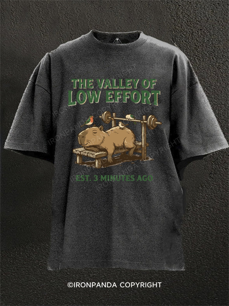 Funny Capybara Gym Valley Of Low Effort Weightlifting Washed Gym Shirt