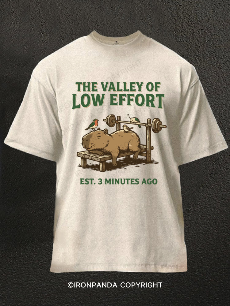 Funny Capybara Gym Valley Of Low Effort Weightlifting Washed Gym Shirt