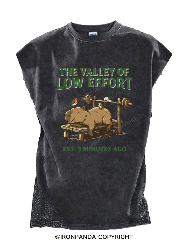 Funny Capybara Gym Valley Of Low Effort Weightlifting Cut Off Tank