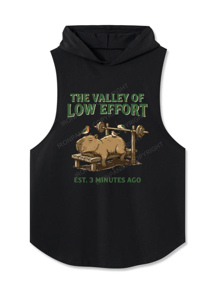 Funny Capybara Gym Valley Of Low Effort Weightlifting Hooded Tank