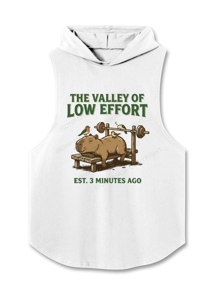 Funny Capybara Gym Valley Of Low Effort Weightlifting Hooded Tank