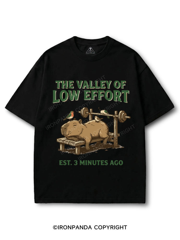 Funny Capybara Gym Valley Of Low Effort Weightlifting COTTON PUMP COVER