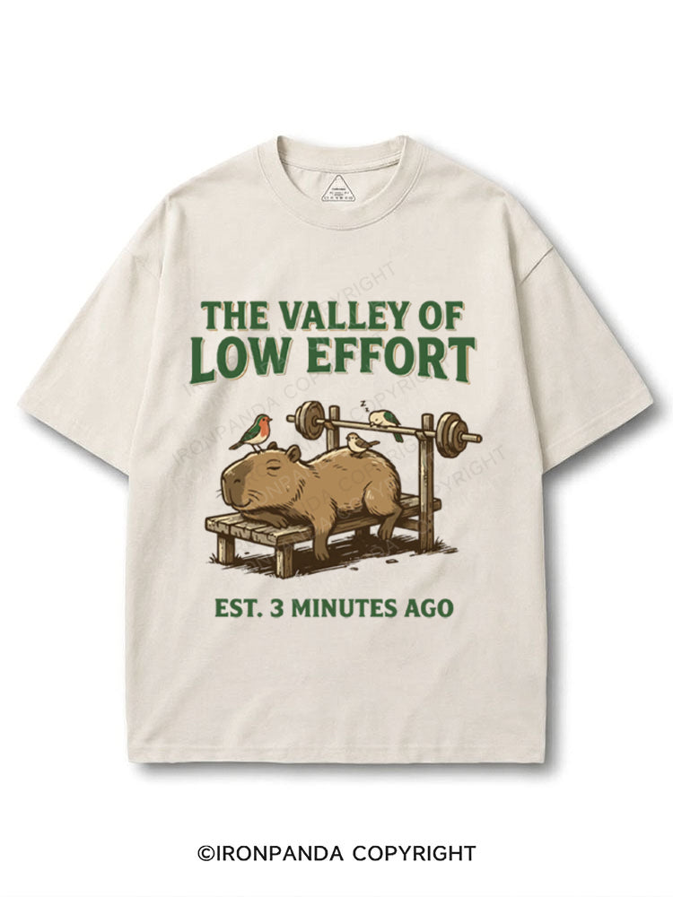 Funny Capybara Gym Valley Of Low Effort Weightlifting COTTON PUMP COVER