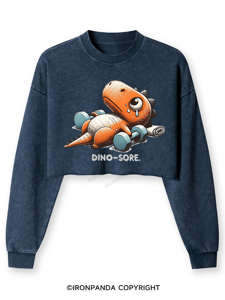 Dino-Sore After Workout Washed Long-Sleeve Crop Top