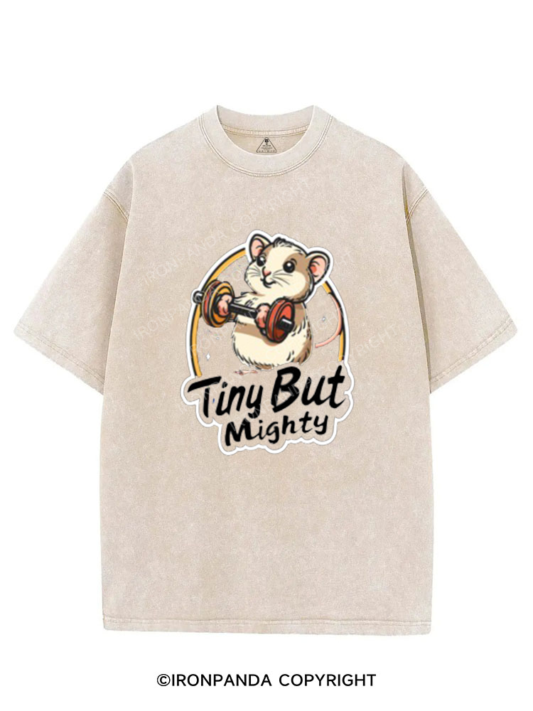 TINY BUT MIGHTY SESSION VINTAGE GYM SHIRT